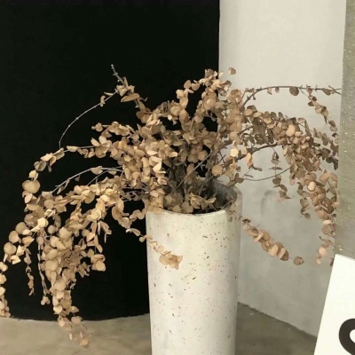 兽设校园场景创作FurryQQ群